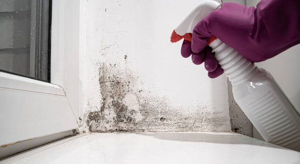 Carpet water damage restoration in Exmore, VA